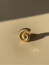 The Seashell Ring
