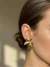 Large Gold Reef Studs